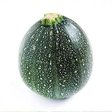 بذر کدو خورشتی گرد سبز (بسته 10 عددی) کد 2046