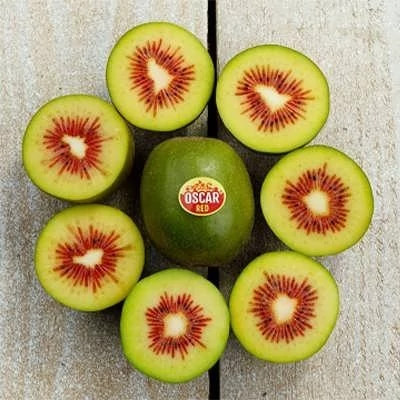 بذر کیوی تو سرخ (بسته 10 عددی) کد 406