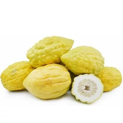بذر درخت بالنگ (بسته 10 عددی) کد 735