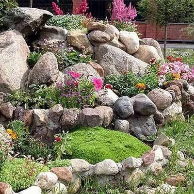 بذر گل های سنگی میکس (بسته 1 گرمی) کد 1287