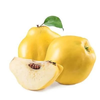 بذر درخت به (بسته 10 عددی) کد 933