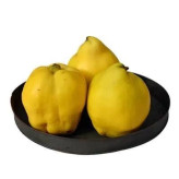 بذر درخت به (بسته 10 عددی) کد 933