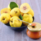 بذر درخت به (بسته 10 عددی) کد 933