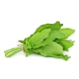 بذر سورل سبز آمریکایی (بسته 100 عددی) کد 829