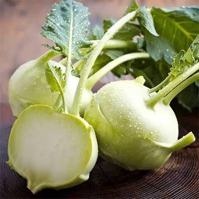 بذر کلم قمری سفید (بسته 1 گرمی) کد 284