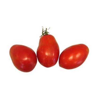 بذر گوجه فرنگی پومودورو (بسته 20 عددی) کد 270