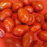 بذر گوجه فرنگی پومودورو (بسته 20 عددی) کد 270