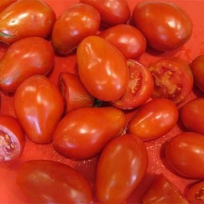 بذر گوجه فرنگی پومودورو (بسته 20 عددی) کد 270