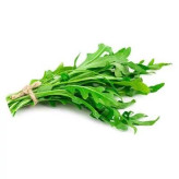 بذر راکولا باغی (سالادی) (بسته 100 عددی) کد 1080