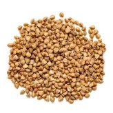 بذر گندم سیاه (بسته 1 گرمی) کد 319