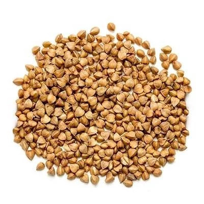 بذر گندم سیاه (بسته 1 گرمی) کد 319