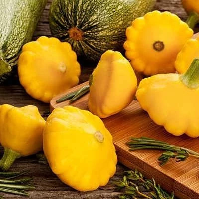 بذر کدو ستاره ای نارنجی (بسته 10 عددی) کد 950