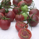 بذر گوجه زیتونی خرمایی درختی (بسته 15 عددی) کد 2080