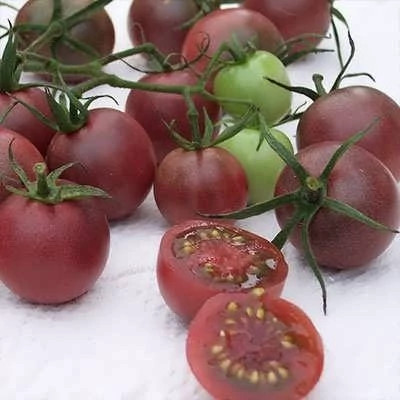 بذر گوجه زیتونی خرمایی درختی (بسته 15 عددی) کد 2080