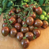 بذر گوجه زیتونی خرمایی درختی (بسته 15 عددی) کد 2080