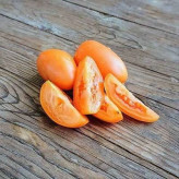 بذر گوجه زیتونی نارنجی درختی (بسته 15 عددی) کد 2079
