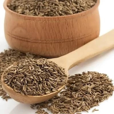بذر زیره سبز (بسته 1 گرمی) کد 541