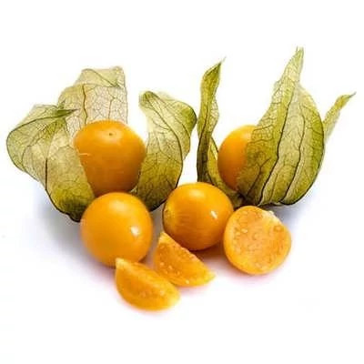 بذر فیسالیس غول هندی (بسته 10 عددی) کد 1301