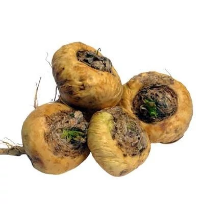 بذر ماکا سفید (بسته 10 عددی) کد 1001